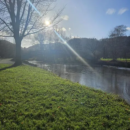 아파트 Hakans Moselblick 트라이스카르덴