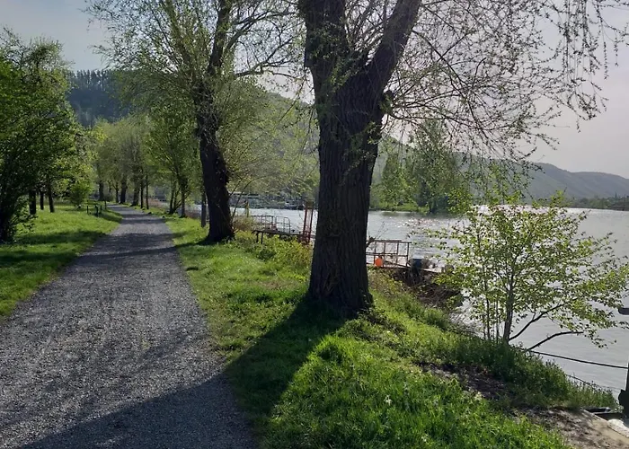 Hakans Moselblick Treis-Karden